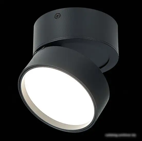 Припотолочная люстра ST Luce ST651.442.14 – фото товара