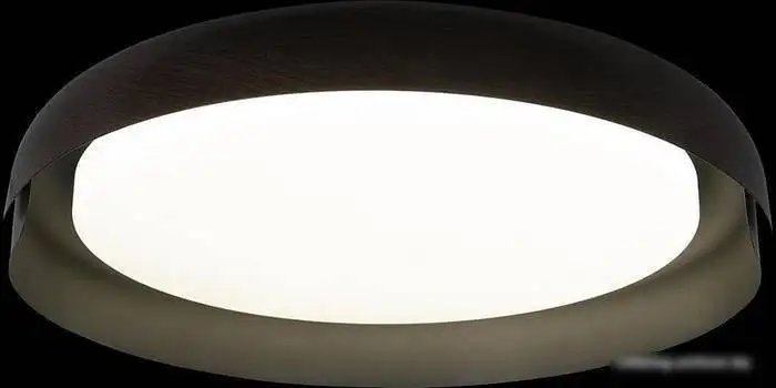 Припотолочная люстра LOFT IT Coin 10198 White – фото товара