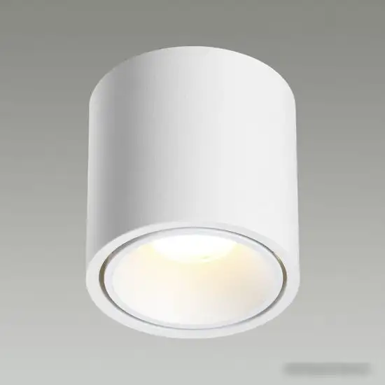 Точечный светильник Odeon Light Redo 6620/10CL – фото товара
