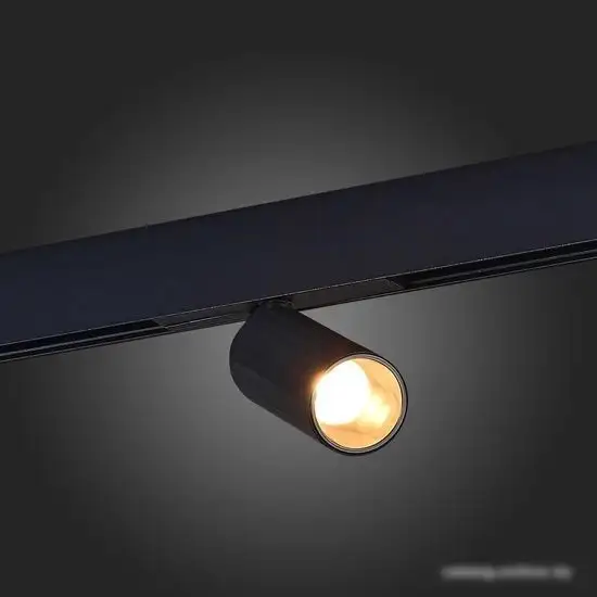 Трековый светильник ST Luce ST808.236.08  – фото товара