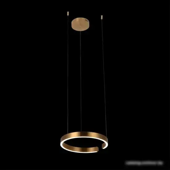 Подвесная люстра LOFT IT Ring 10013S – фото товара