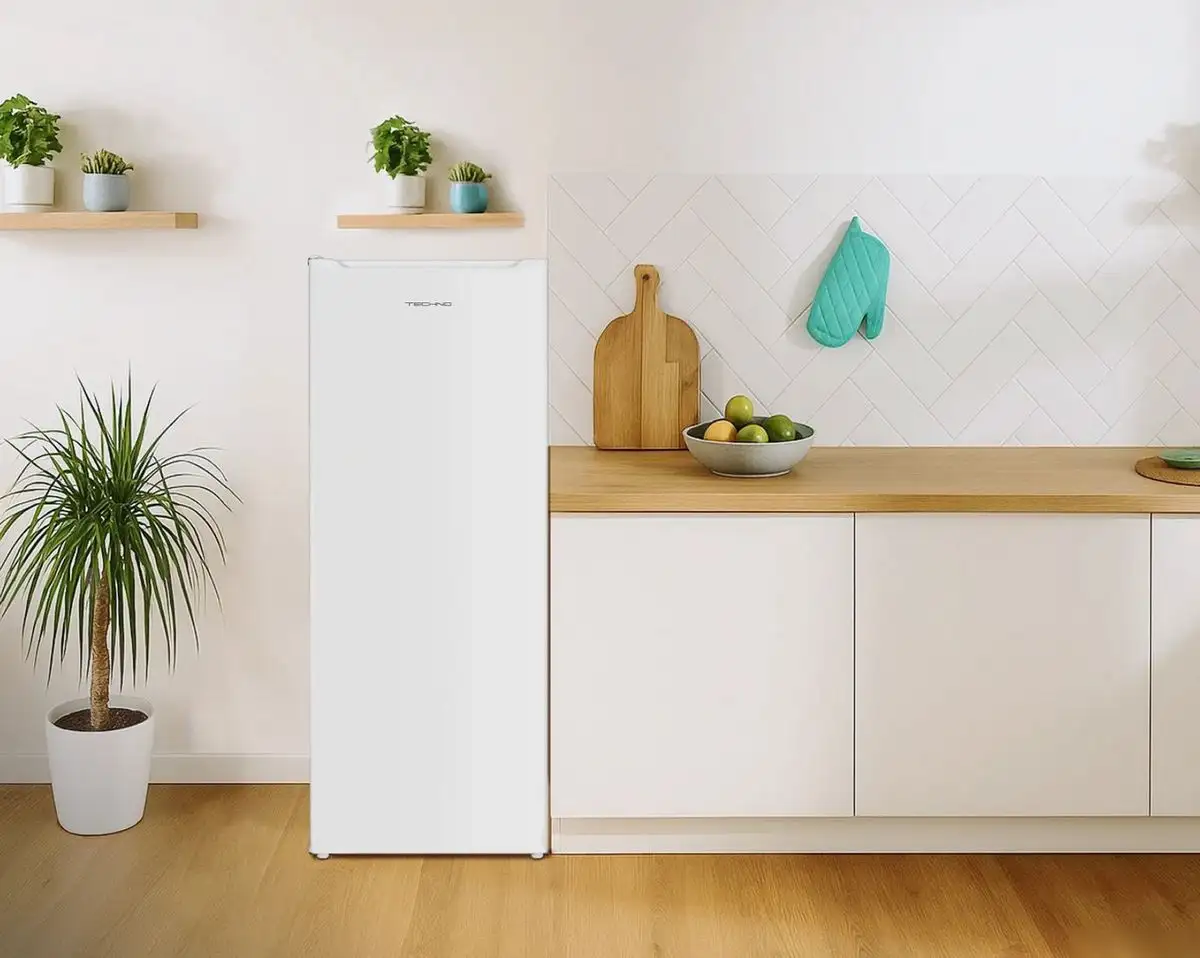 Однокамерный холодильник TECHNO DF1-20N - фото товара