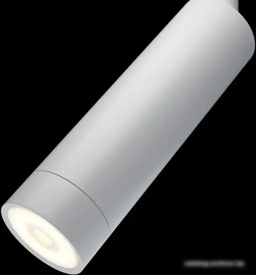 Точечный светильник Maytoni TR019-2-7W3K-W – фото товара