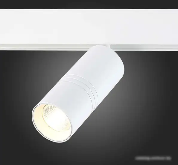 Трековый светильник ST Luce Lemmi ST365.536.18 – фото товара