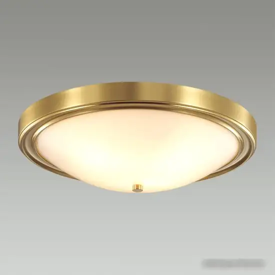 Припотолочная люстра Lumion Nina 5259/4C – фото товара