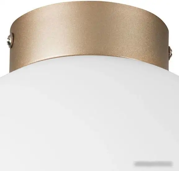 Припотолочная люстра Lightstar Globo 812023 – фото товара