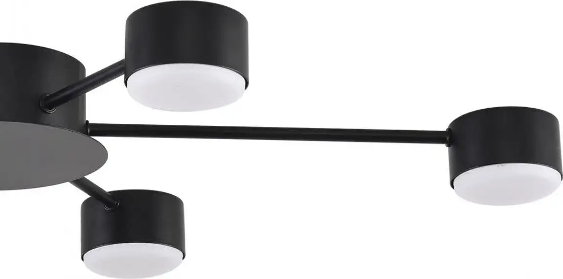 Припотолочная люстра Lumion Torina 8344/6C – фото товара