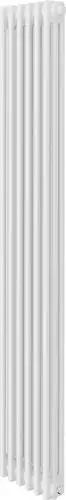 Стальной трубчатый радиатор Royal Thermo Insignia VC3180 - 06 секций RAL9016 - изображение в каталоге