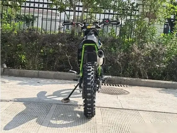 Мотоцикл AVM BisonX 250 (зеленый) – фото товара