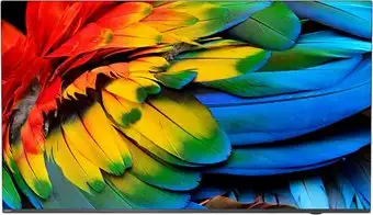 Телевизор Philips 75HFL6214U/12 – изображение в каталоге