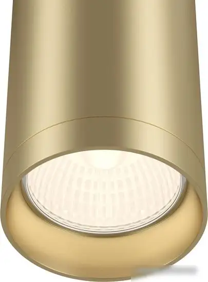 Спот Maytoni Focus C010CL-01MG – фото товара