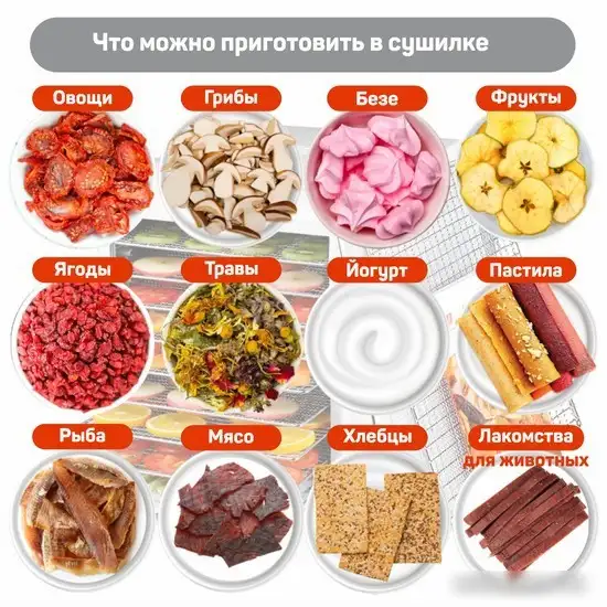 Сушилка для овощей и фруктов Pullman PL-1103 - фото товара