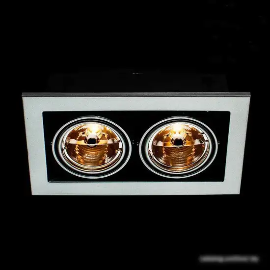 Точечный светильник Arte Lamp Cardani A5930PL-2SI – фото товара