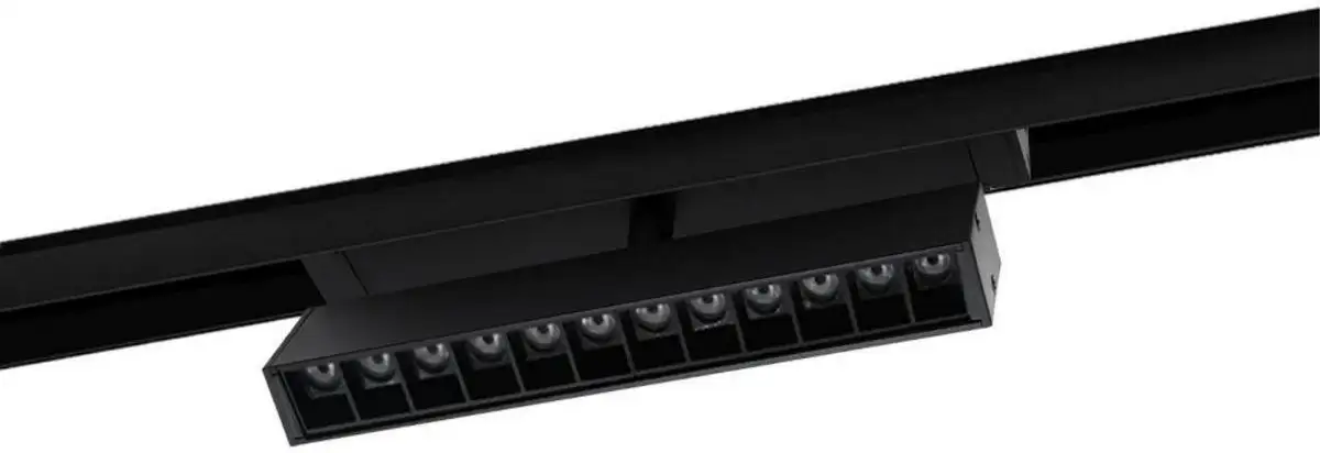 Трековый светильник Aployt Magnetic Track 220 APL.0202.00.09 – фото товара