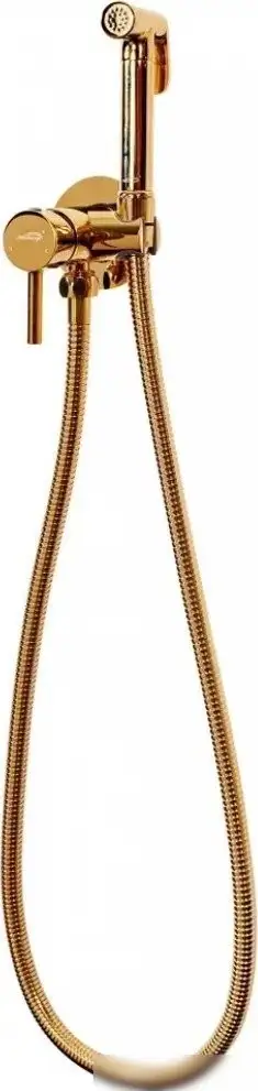 Гигиенический душ Hansberge H3099 (золото глянец) - фото товара