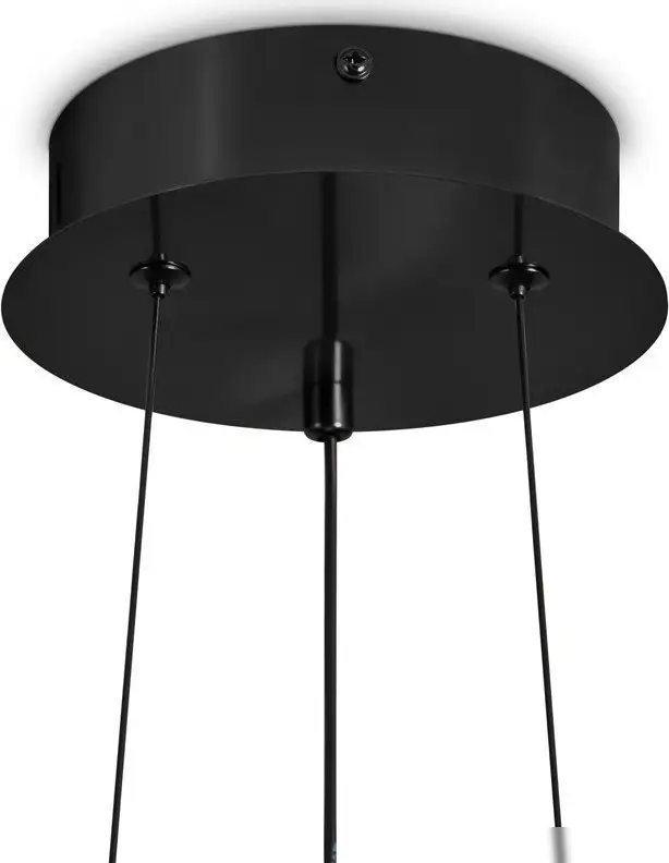 Подвесная люстра Freya Citrus FR5398PL-L8B – фото товара