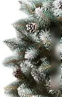 Ель Maxy Poland Полярная ночь (2м) – фото товара