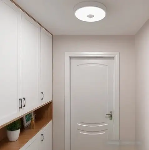 Люстра-тарелка Yeelight Ceiling Light YLXD09YL – фото товара