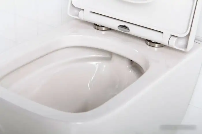 Унитаз BelBagno Alpina BB10100CHR - фото товара