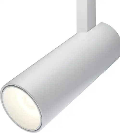 Точечный светильник Maytoni TR019-2-10W3K-W – фото товара
