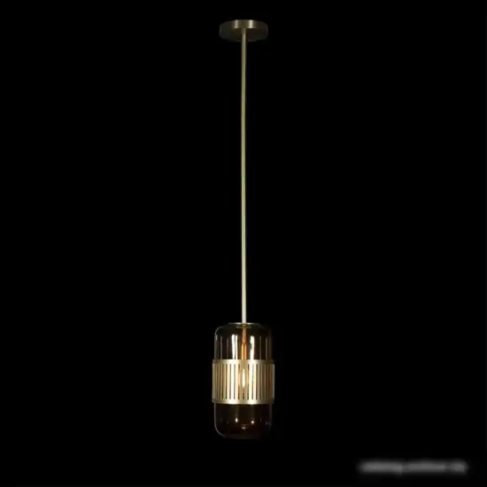 Подвесная люстра LOFT IT Hudson 10098P – фото товара