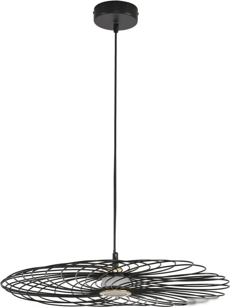 Подвесная люстра Lumion Camomile 8379/10L – фото товара