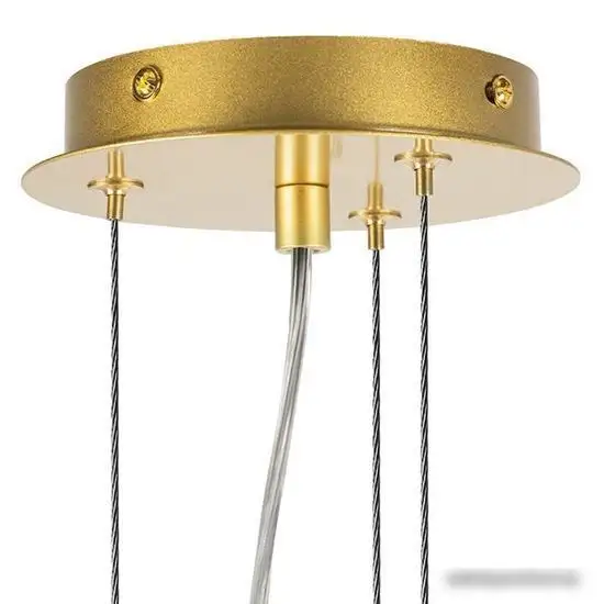 Подвесная люстра Lightstar Siena 720802 – фото товара