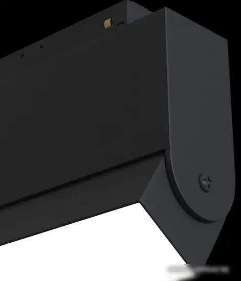 Спот Maytoni TR013-2-10W3K-B – фото товара