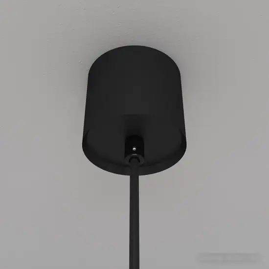 Подвесная люстра Maytoni Luna P039PL-5W3K-10-B – фото товара