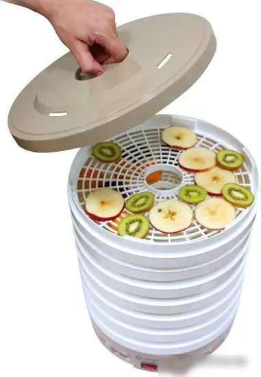 Сушилка для овощей и фруктов Мастерица ЭСБ-15/25-450 - фото товара