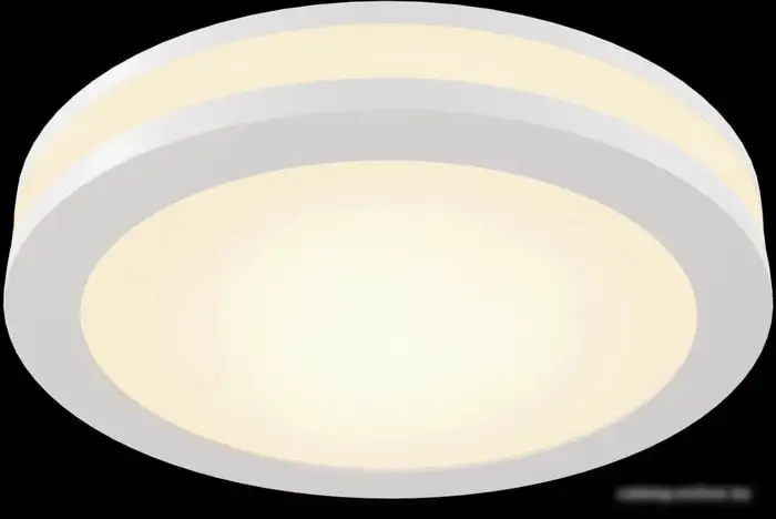 Точечный светильник Maytoni Phanton DL2001-L12W4K – фото товара