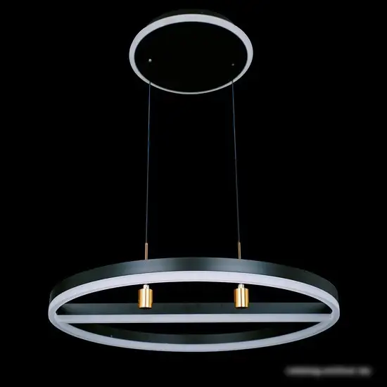 Подвесная люстра Natali Kovaltseva High-Tech Led Lamps 82048 – фото товара