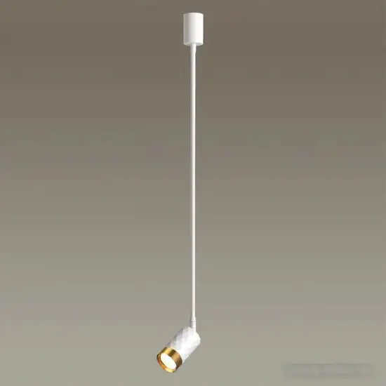 Подвесная люстра Odeon Light Ad Astrum 4350/1C – фото товара