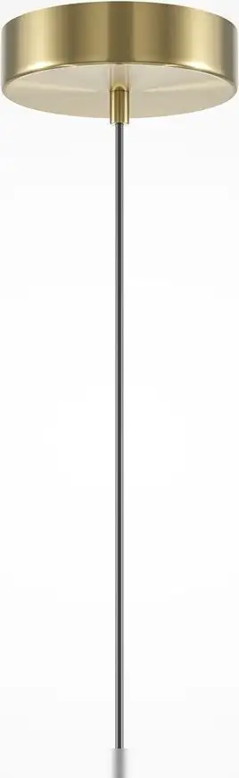 Подвесная люстра Maytoni Brosche MOD362PL-L10GR3K – фото товара