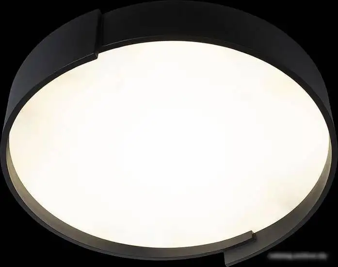 Припотолочная люстра LOFT IT Coin 10200 Grey – фото товара