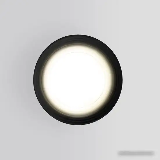 Уличный накладной светильник Elektrostandard Light 2101 35128/H (черный) – фото товара