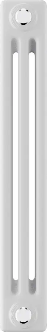 Стальной трубчатый радиатор Royal Thermo Insignia C3050 - 14 секций RAL9016 - фото товара