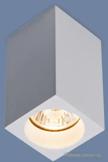 Точечный светильник Elektrostandard 1085 GU10 (белый матовый) – фото товара