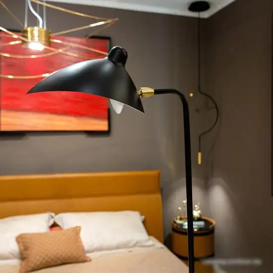 Торшер L'Arte Luce Spider L05641 – фото товара