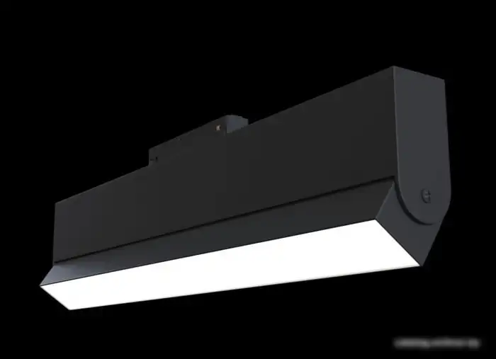 Спот Maytoni TR013-2-20W4K-B – фото товара