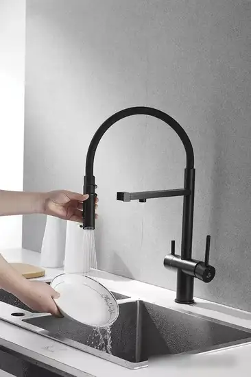 Смеситель Rose R958H (черный) - фото товара