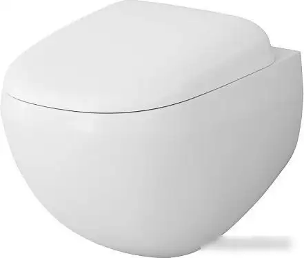 Унитаз подвесной AM.PM Sensation CK30H0904W (с гигиеническим душем) - фото товара