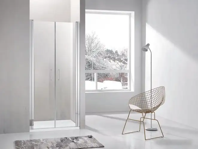 Душевая дверь Adema Nap Duo-100 (прозрачное стекло) - фото товара