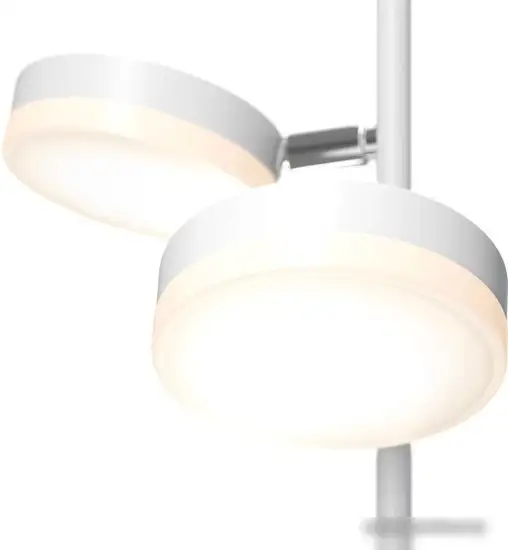 Торшер Maytoni Fad MOD070FL-L12W3K – фото товара