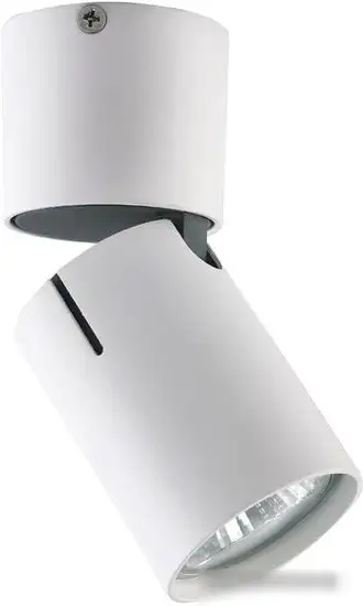 Спот Vele Luce Carrisi VL8061S21 – фото товара