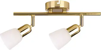 Спот Escada 5039/2PA E14*40W Gold/White – изображение в каталоге