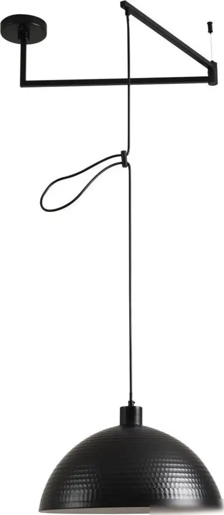 Подвесная люстра Lumion Armina 8321/1C – фото товара