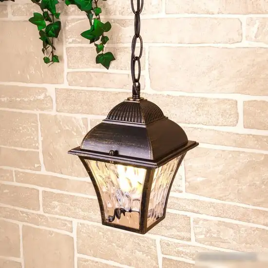 Уличный подвесной светильник Elektrostandard Apus H GL 1009H (черное золото) – фото товара