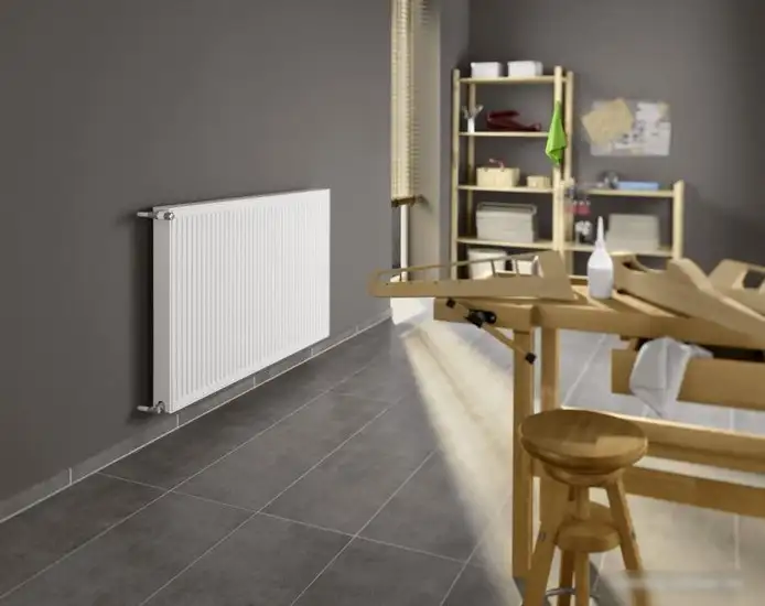 Стальной панельный радиатор Kermi Profil-K тип 22 300х900 FK0220300901N2Y - фото товара