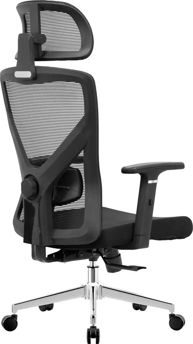 Офисное кресло Evolution ErgoLine 2 (черный) – фото товара